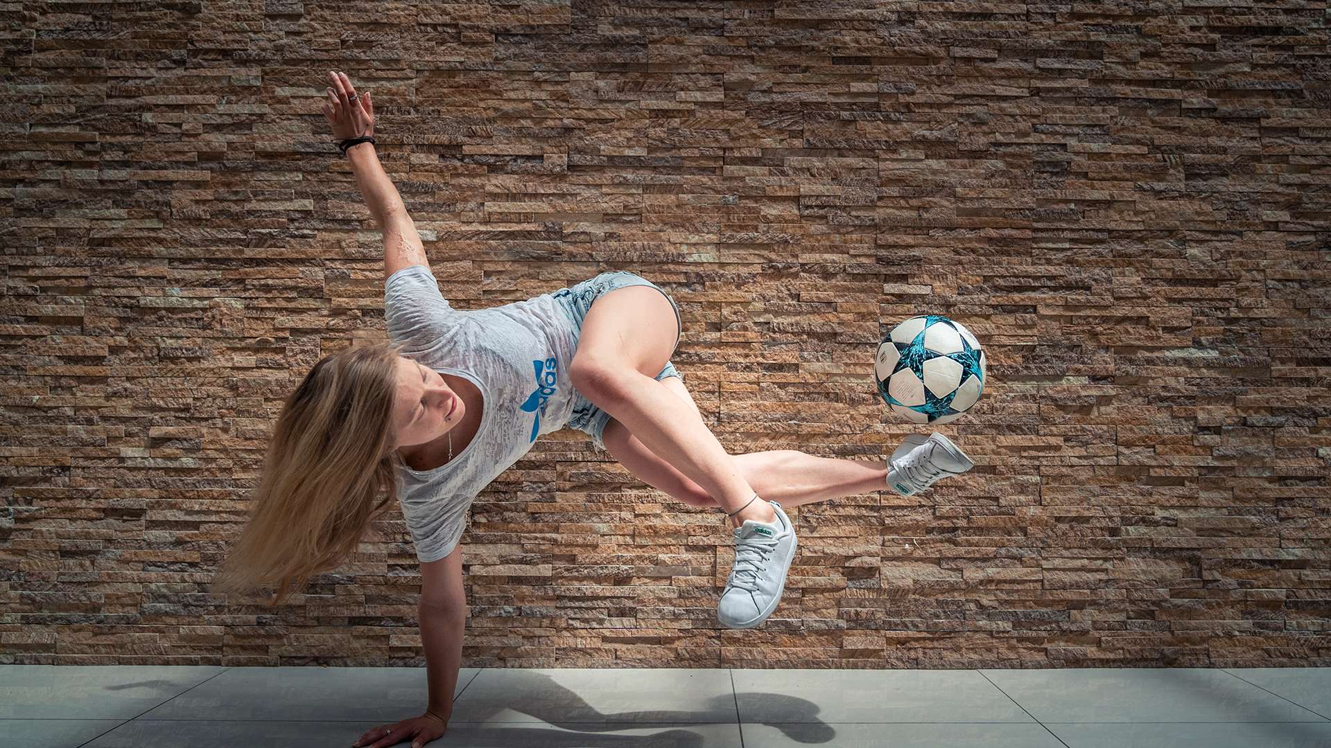 的理性認識 的理性認識